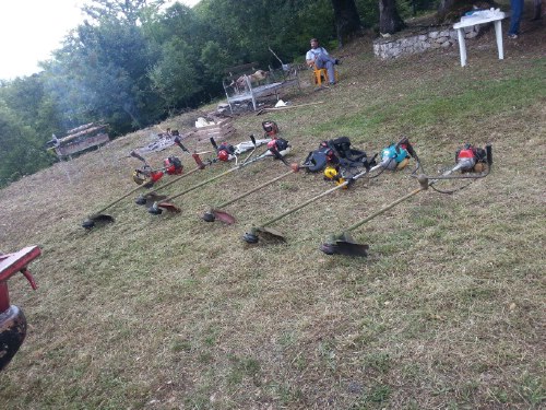 diaba 11649206 10205810189047705 1679921644 o