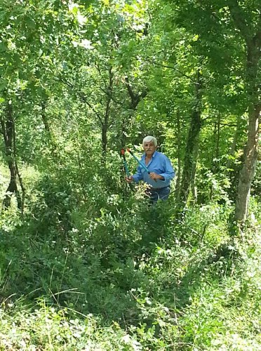 diaba 11653322 10205810279489966 569993495 n