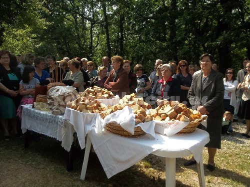 platanistos 11414606 10205816918614549 1961018692 n