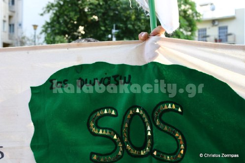 platanistos 5DM36306