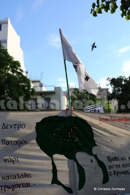 platanistos 5DM36308