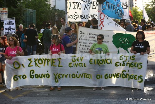 platanistos 5DM36321