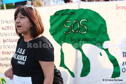 platanistos 5DM36324