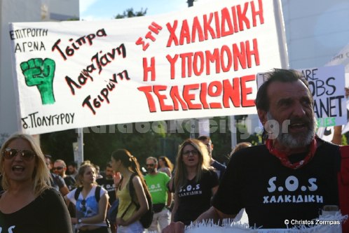 platanistos 5DM36331