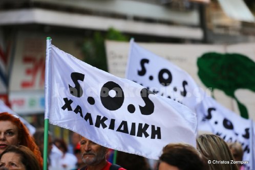 platanistos 5DM36371