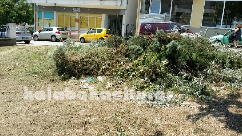 parking 20150707 140712