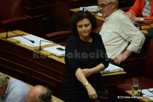 vouli psifos 15 7 24735808