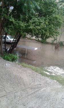 11896981 10204455557097159 1826957837 n