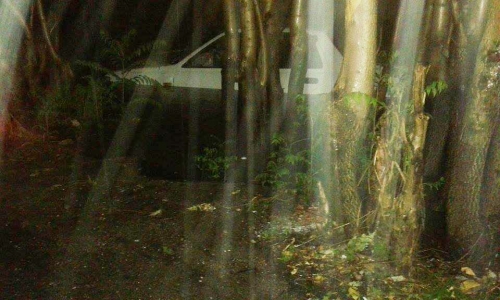 11949757 10204455557457168 1175193459 n