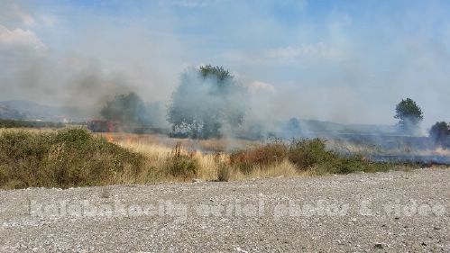 kala 20150809 150036