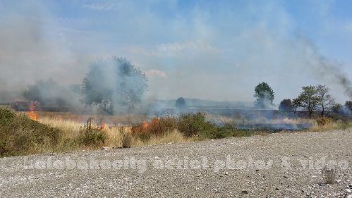 kala 20150809 150038