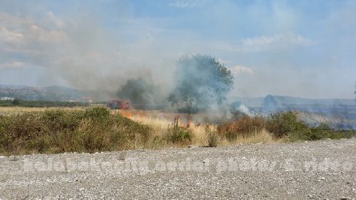 kala 20150809 150040