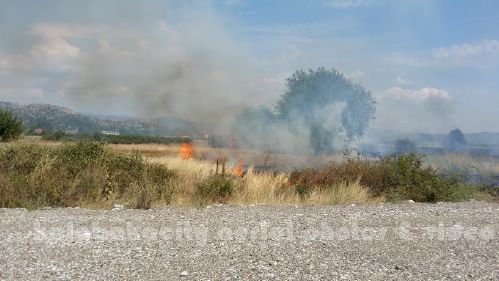 kala 20150809 150048