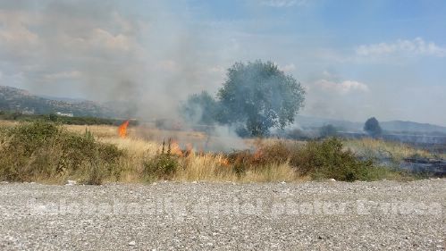 kala 20150809 150053