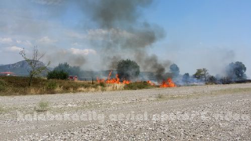 kala 20150809 150131