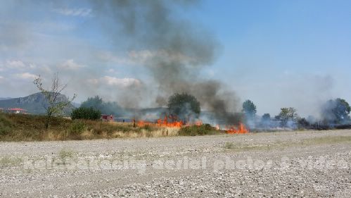 kala 20150809 150133