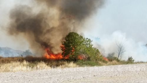 kala 20150809 150347