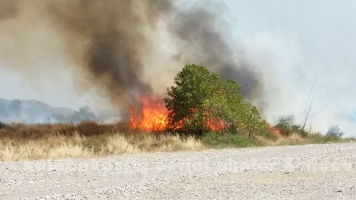 kala 20150809 150349