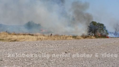 kala 20150809 150630