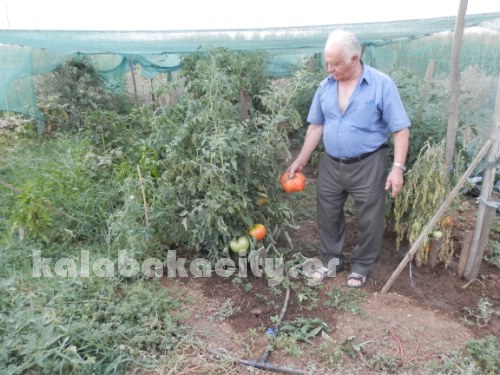 karagiannis P8031372