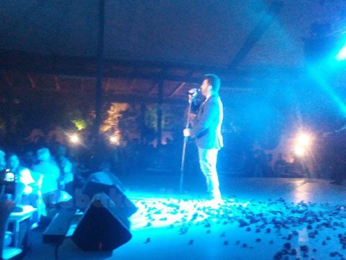 pant 11949736 10207433691061790 378524888 n