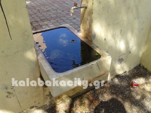 paidiki xara 20150915 125907