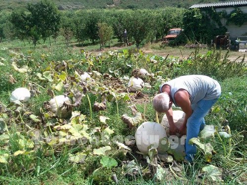 va 11995515 10205338816646287 2140461953 n