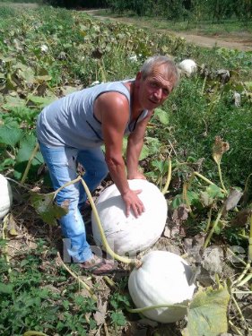 va 11998307 10205339289738114 126089571 n