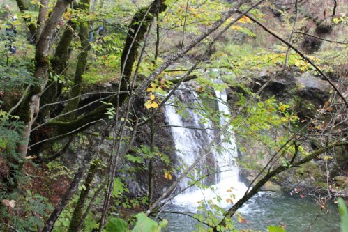 kastania olk IMG 1584