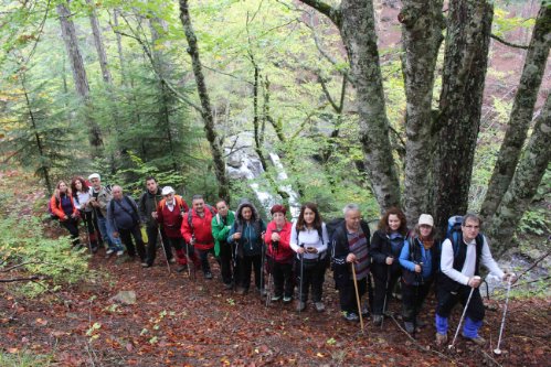 kastania olk IMG 1594