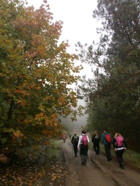 kastania olk PA181682