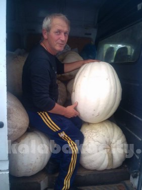 vaios 12030834 10205412227561514 1928244631 n