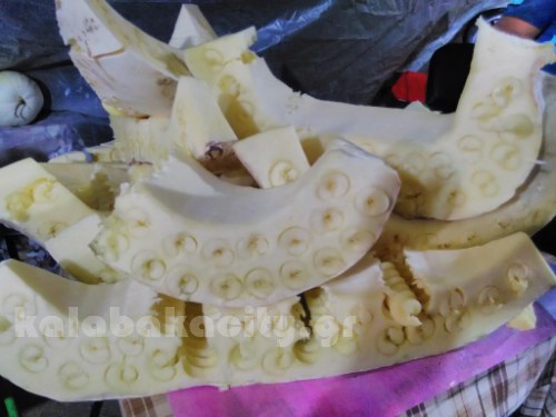 vaios 12062578 10205417300088324 1923685016 o