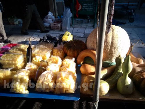 vaios 12082203 10205417302768391 546169024 o