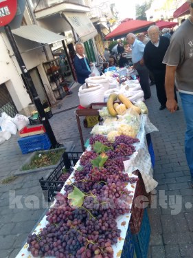 vaios 12082262 10205417306408482 1311057598 o