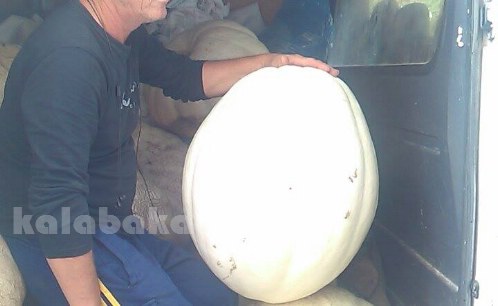 vaios 1533637 10205412226281482 330495212 n