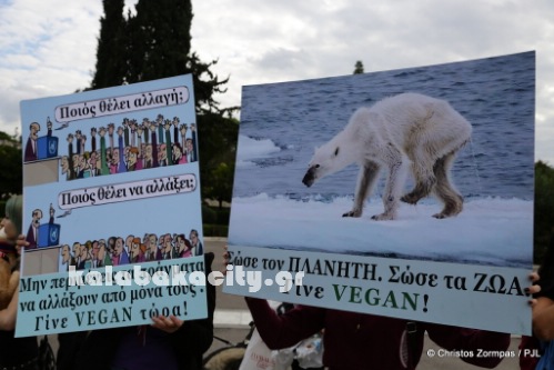 athens green5DM36043