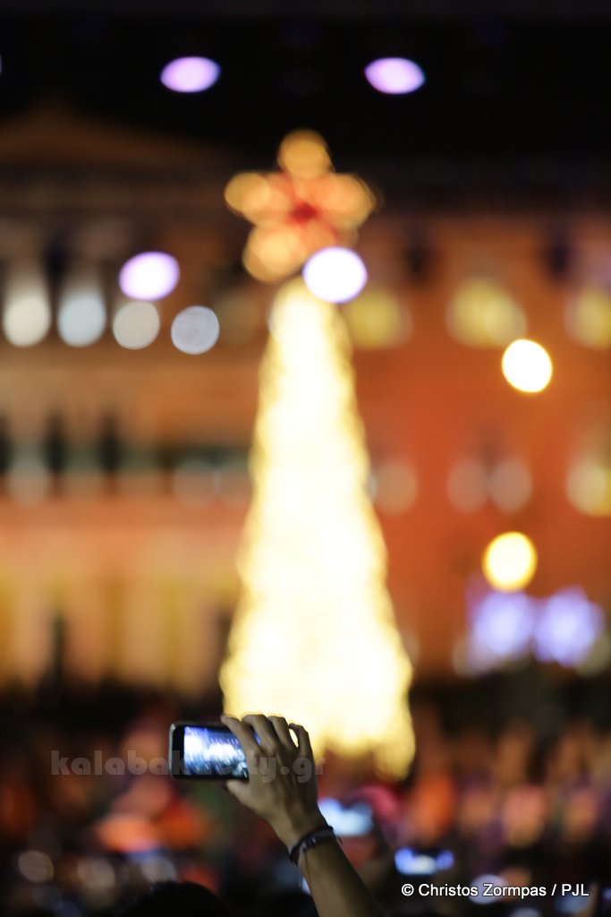 athens tree 5DM35729