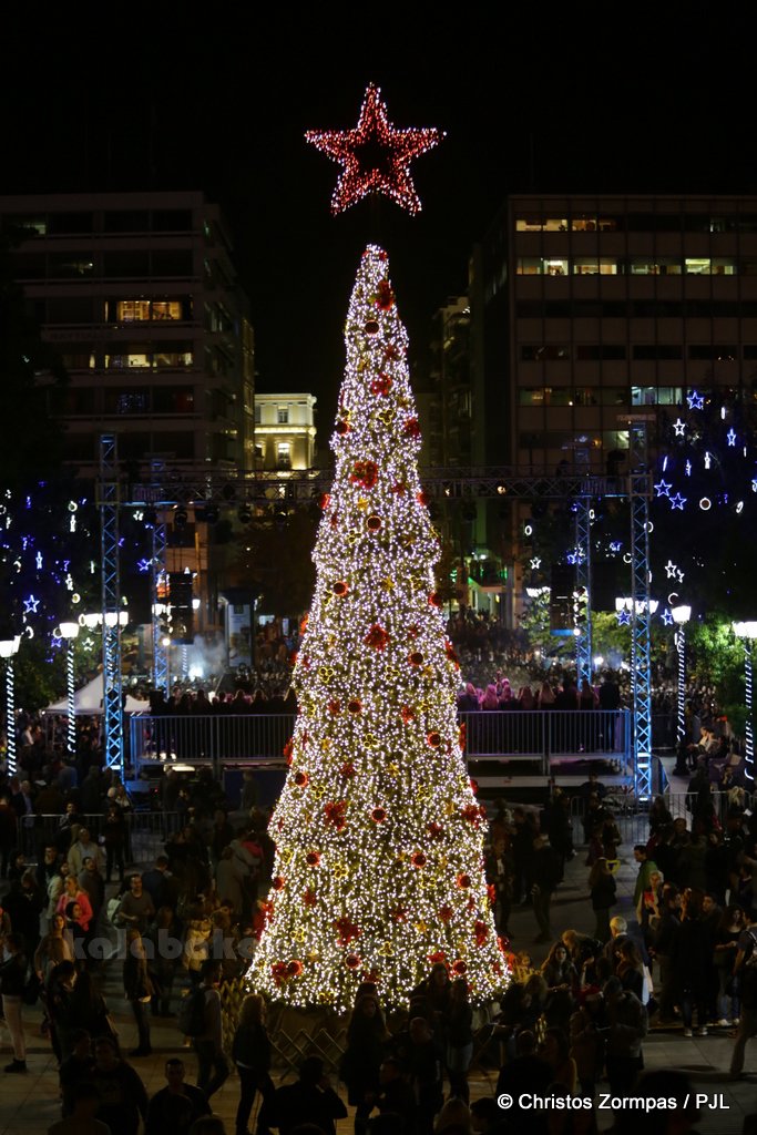 athens tree 5DM35739