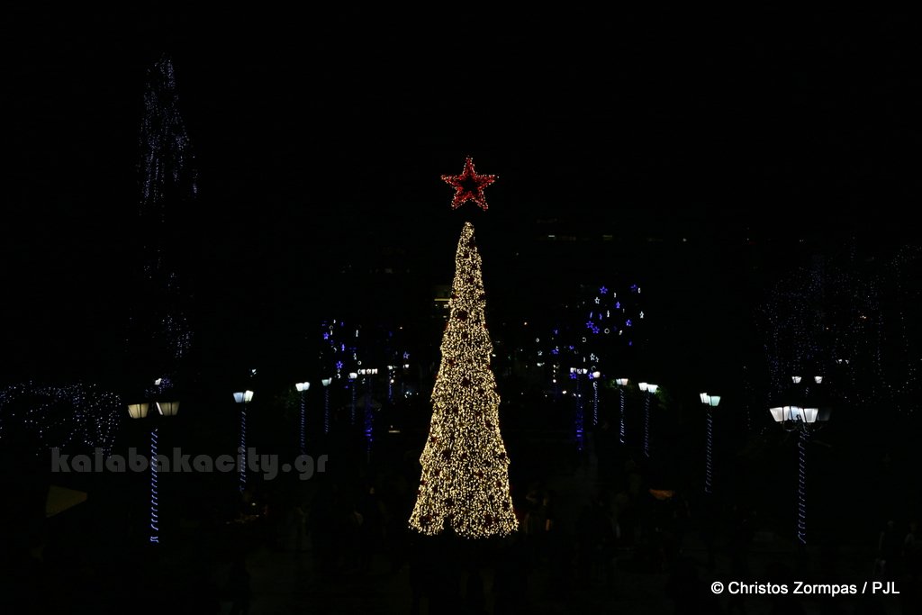 athens tree 5DM35767