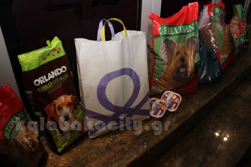 django stella IMG 1725