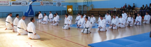 shidokan SEIZA