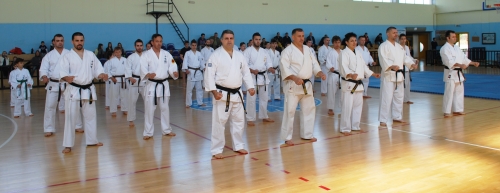 shidokan omadiki