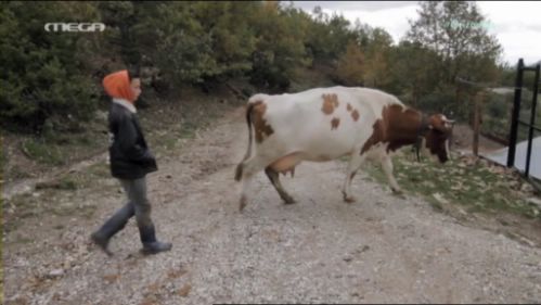 xr 1 11 29 2015 23 43 46