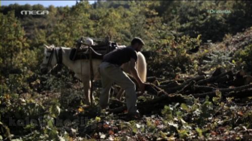 xr 1 11 29 2015 23 46 27