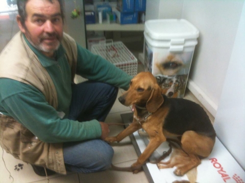 12360187 798358770286190 5808360754335932813 n