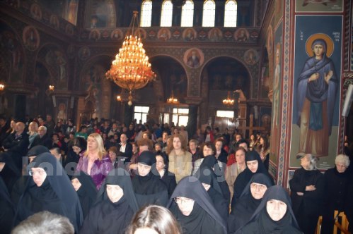 despotis giorti 2015 3