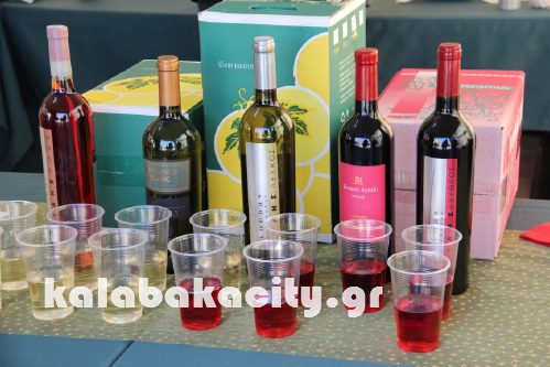 meteorisimo IMG 5127