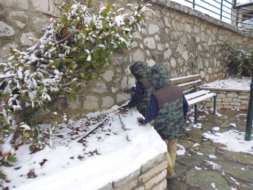 1012533 1053059441423114 2288518001002486289 n