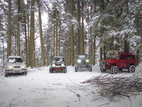 1723797 1053059911423067 3434372208922890536 n